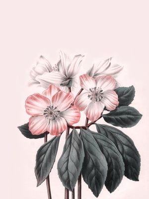 FLOWER NEAR ME 8