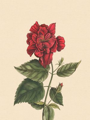 FLOWER NEAR ME 9