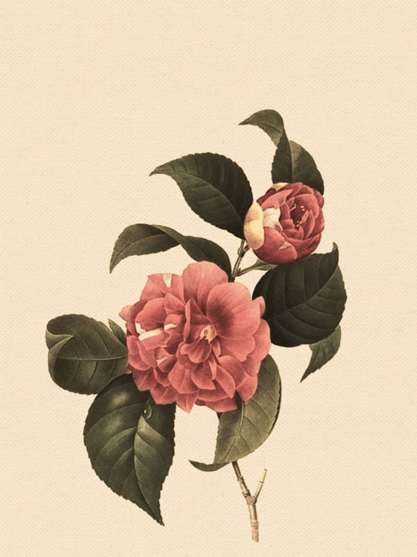 FLOWER NEAR ME 10