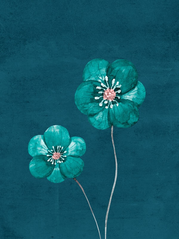 FLOWER NEAR ME 11
