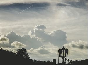 CÉU DO JARDIM