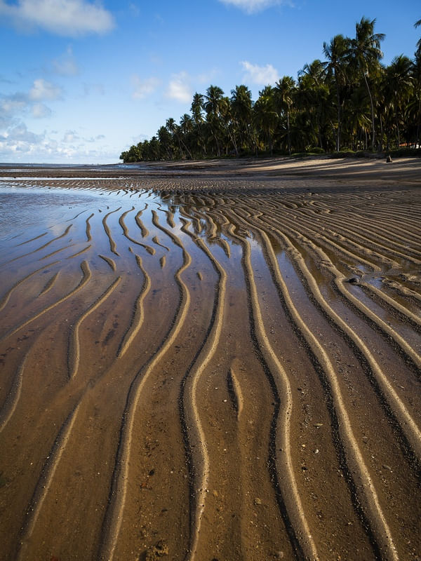 DESENHADO NA AREIA