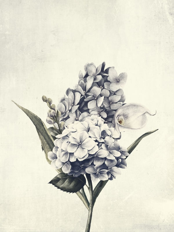FLOWER NEAR ME 12