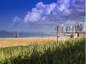 MATA DA PRAIA