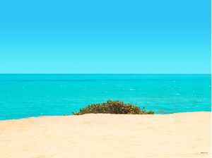 OCEANO TOPETE
