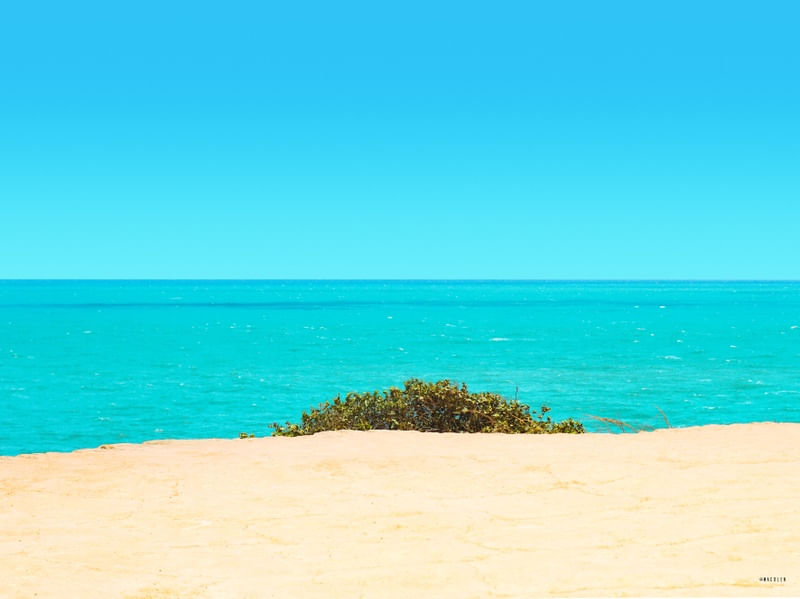 OCEANO TOPETE