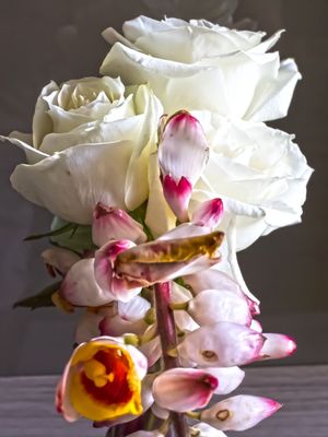 BOUQUET X