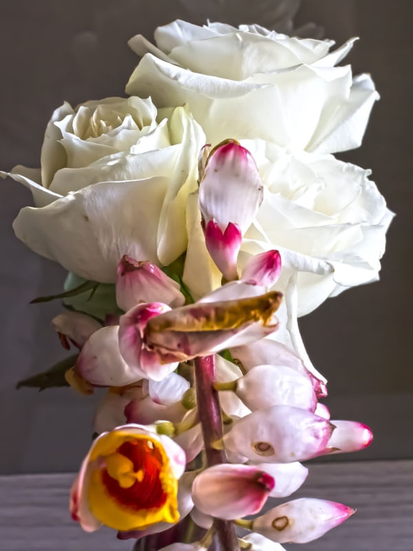 BOUQUET X