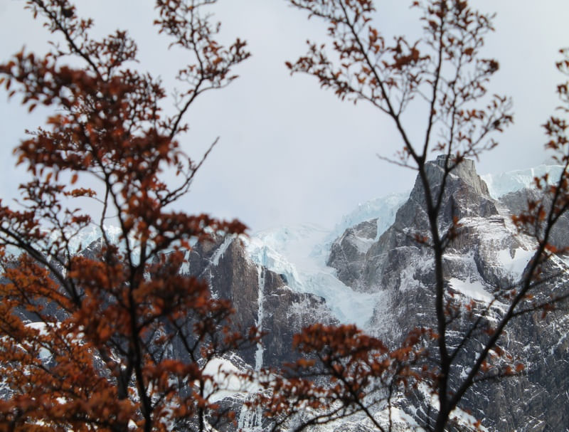 PRENÚNCIO DE INVERNO