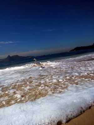 COBERTOR DE ONDAS