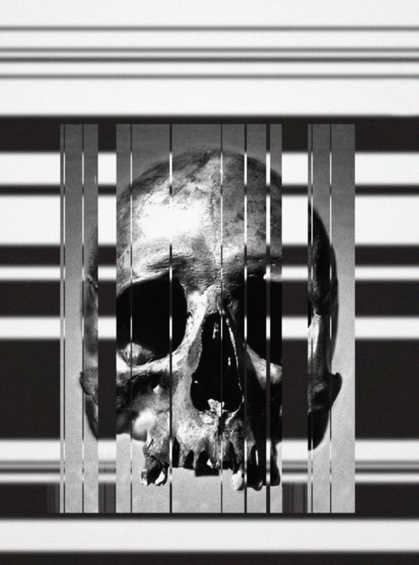 CAVEIRA EM FUNDO ABSTRATO