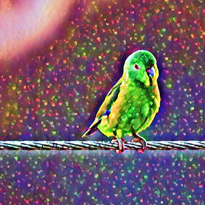 PRIQUITO VERDE
