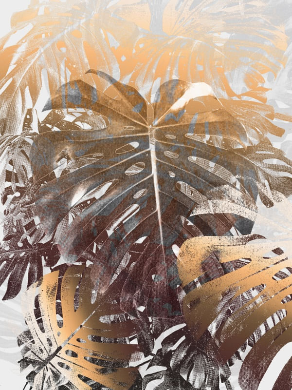 GOLD MONSTERA