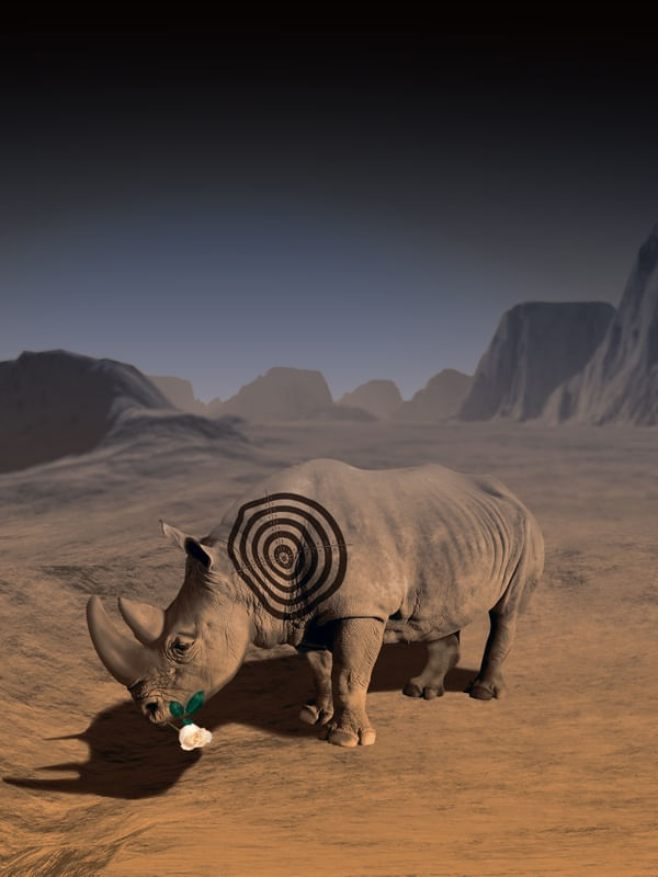 ADEUS RINO