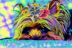 LOLA LINDA