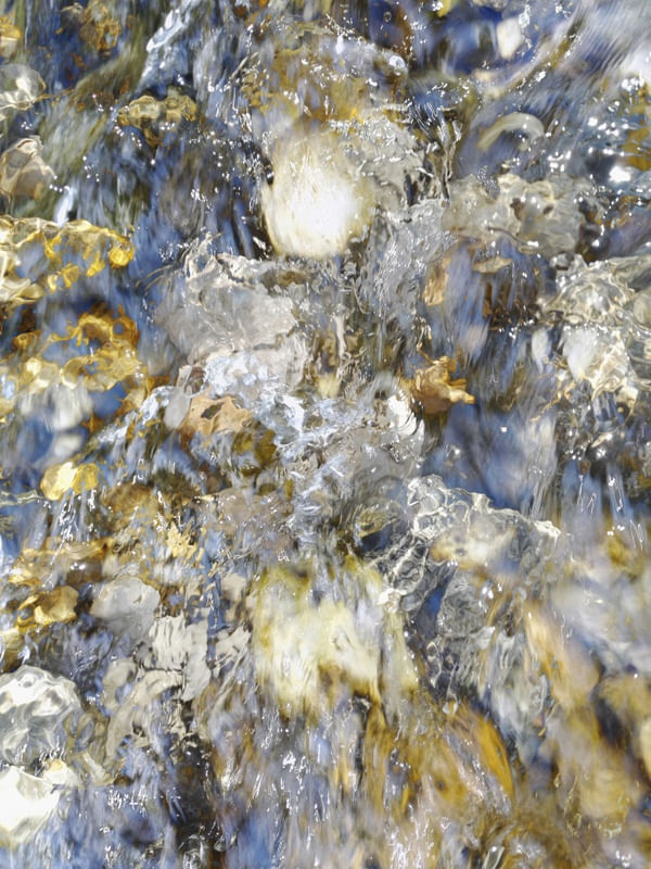 GOLDRUSH