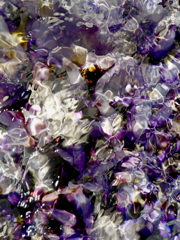 LIQUID PURPLE