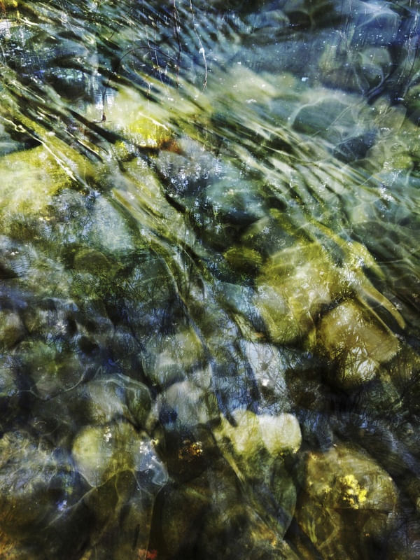 GREEN COMFORT