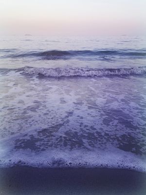 VELVET MORNING