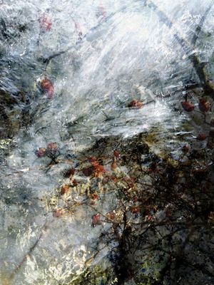 VOICES FROM THE WATERFALL