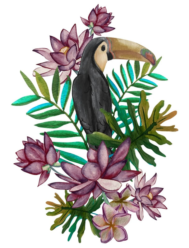 TUCANO EXÓTICO