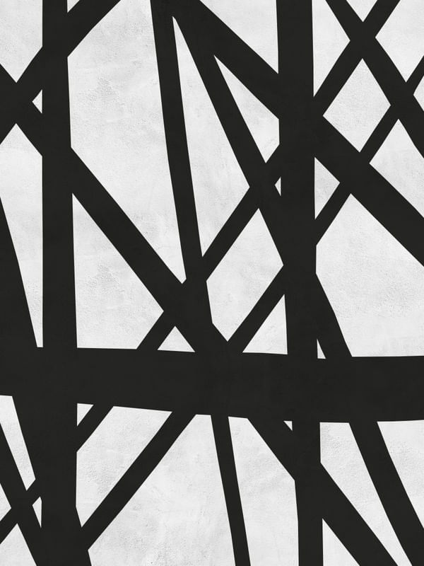 EXPRESSIONISMO PRETO E BRANCO VII