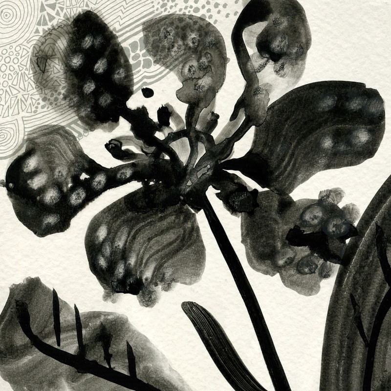 FLORES NEGRAS II