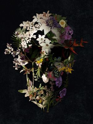 SPRING SKULL COLOR