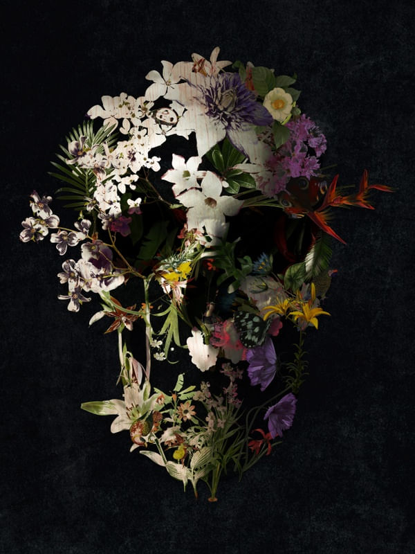 SPRING SKULL COLOR