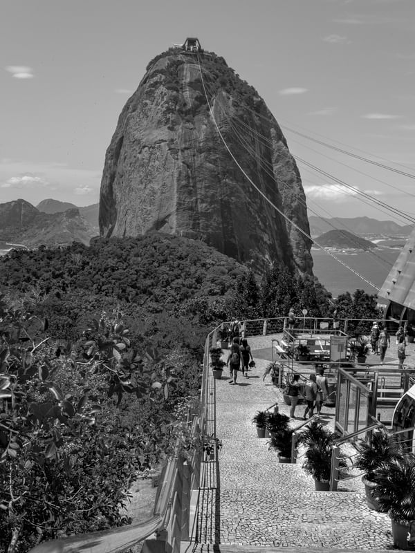 PÃO DE AÇÚCAR EM PB