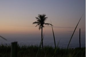 MACUMBA BEACH