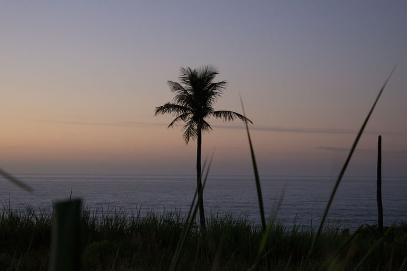 MACUMBA BEACH