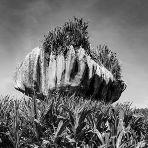 PEDRA DA CEBOLA DE VITÓRIA ES