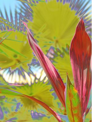 NATURE COLORS