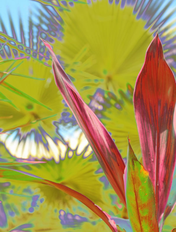 NATURE COLORS