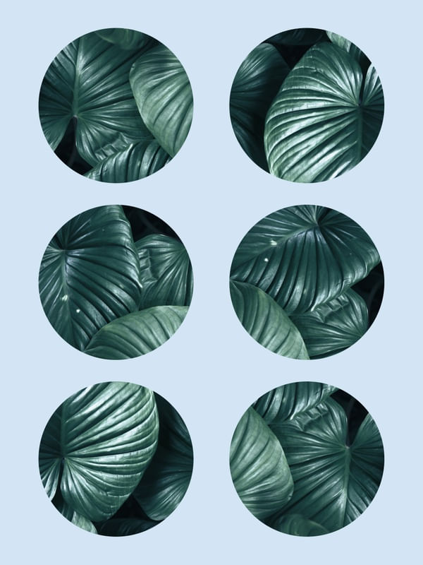 FOLHAS E AZUL IV