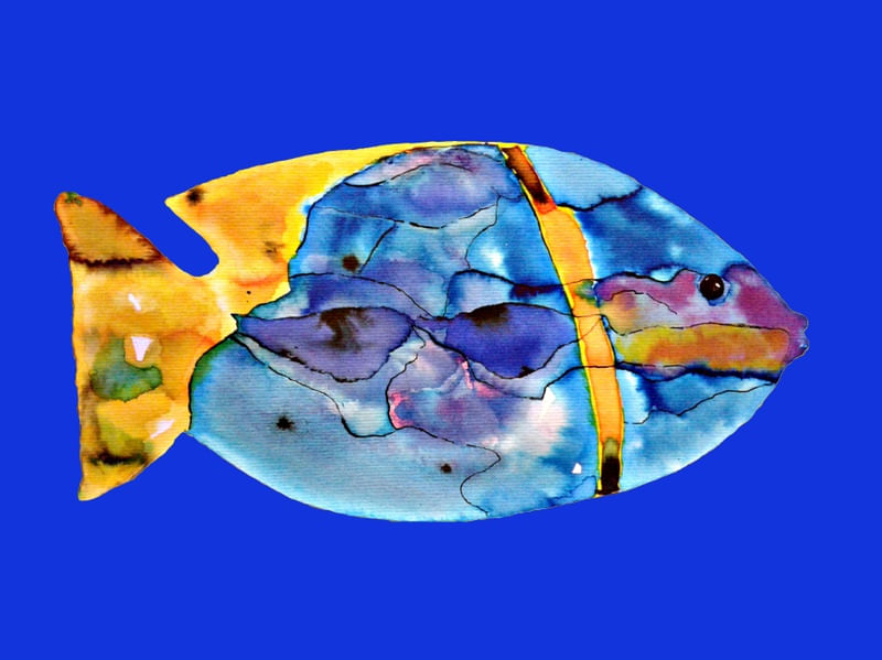 PEIXE AQUARELA XVIII