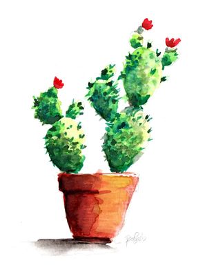 CACTOS 2 RETRATO