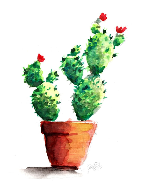 CACTOS 2 RETRATO