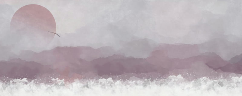 AURORA CORAL