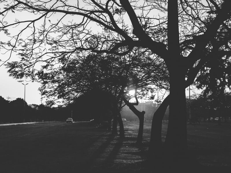 PARQUE DA CIDADE, BRASÍLIA