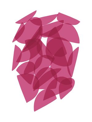 ENCONTROS COR-DE-ROSA