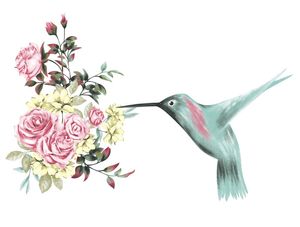 HUMMINGBIRD FLOWERS