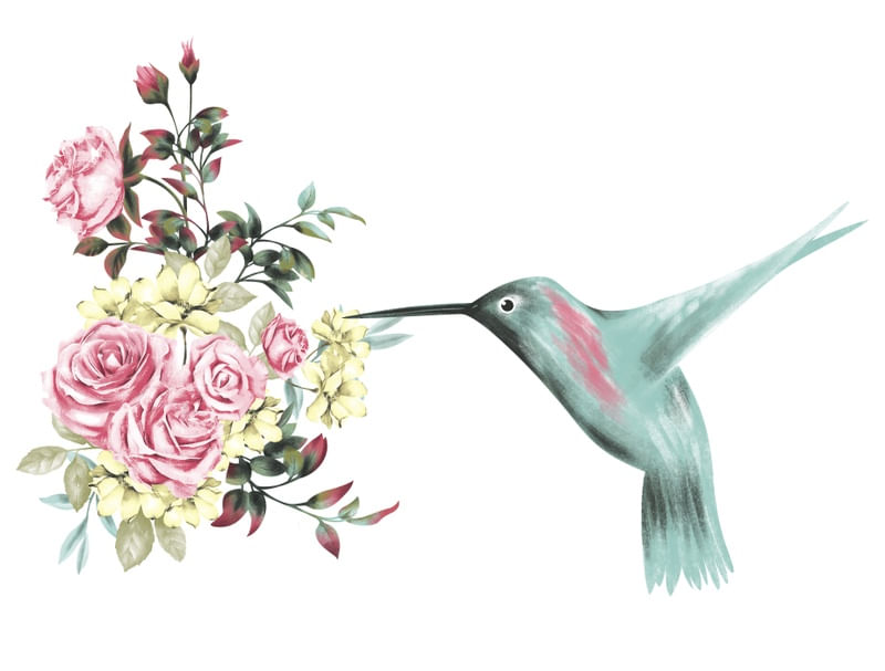 HUMMINGBIRD FLOWERS