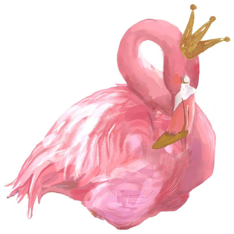 FLAMINGO COR-DE-ROSA