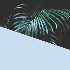 FOLHAS E AZUL VI