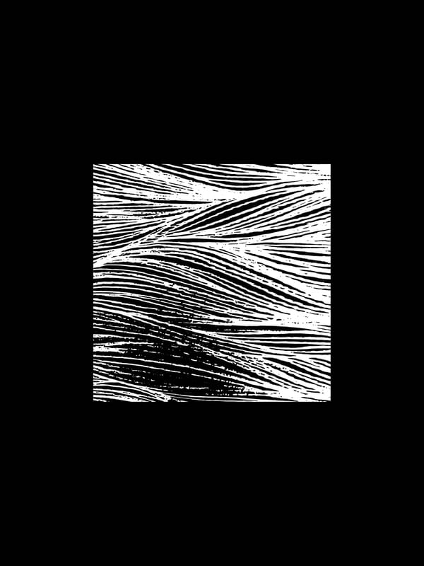 FLUX FORMA II