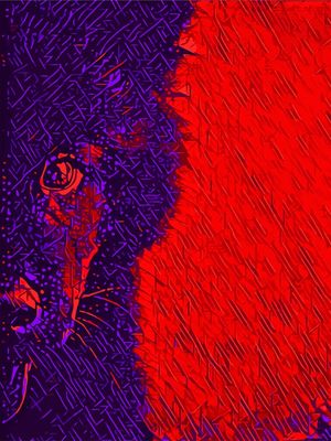 LUNA EM VERMELHO