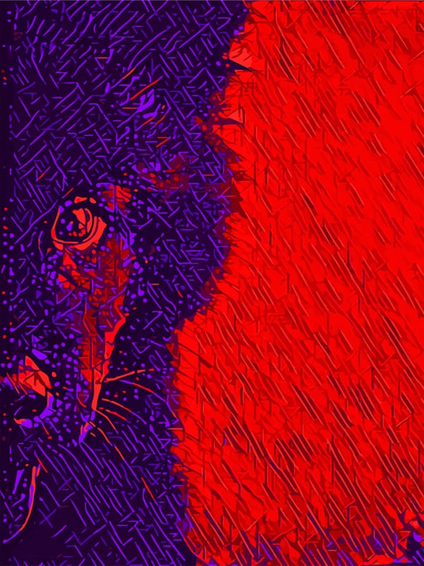 LUNA EM VERMELHO