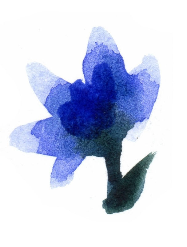 FLOR AZUL 2 RETRATO